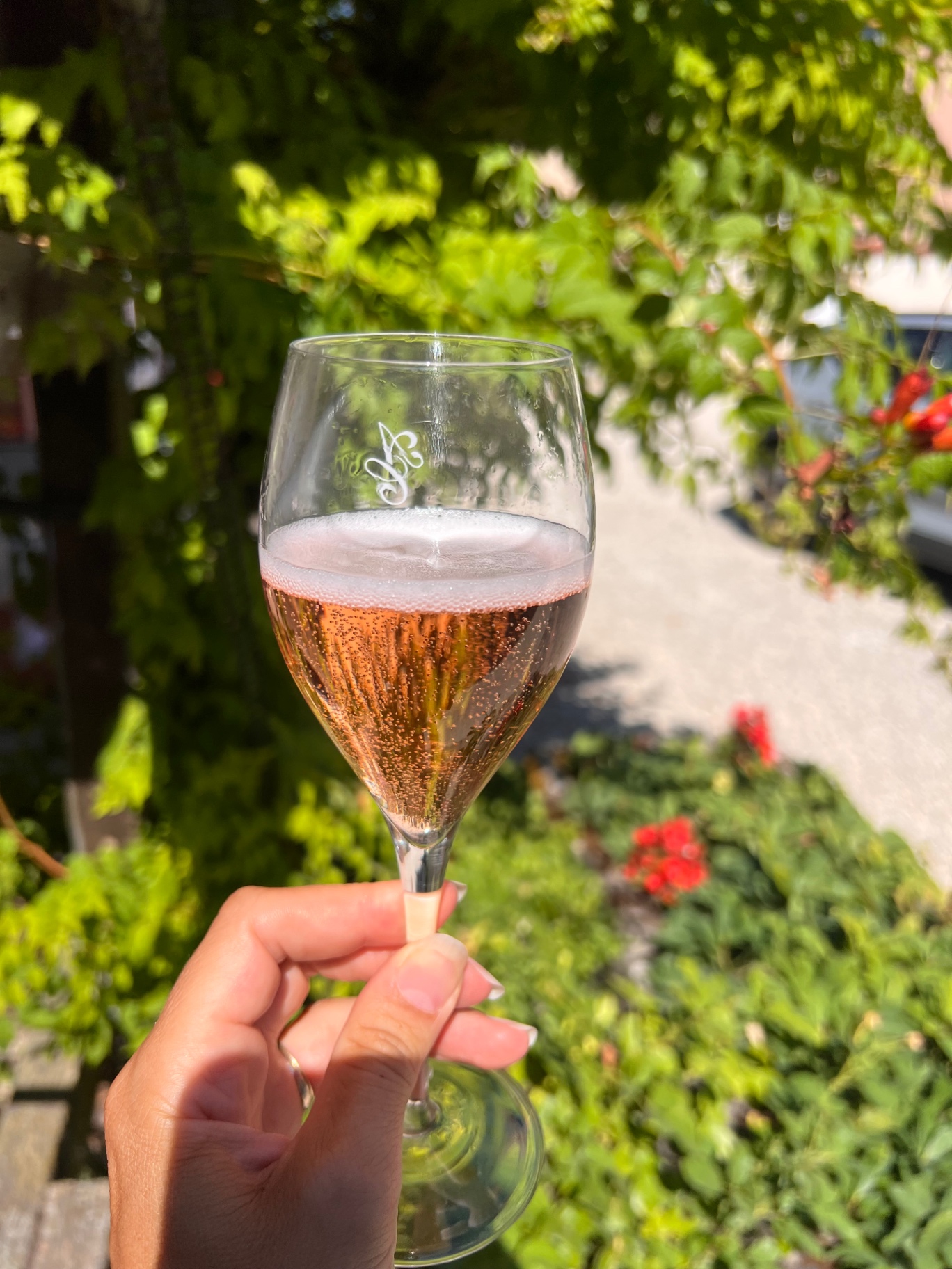 Glas med roséchampagne holdt op i solen i en fransk have